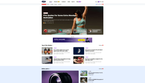 Professional Business Web Design - Image 2